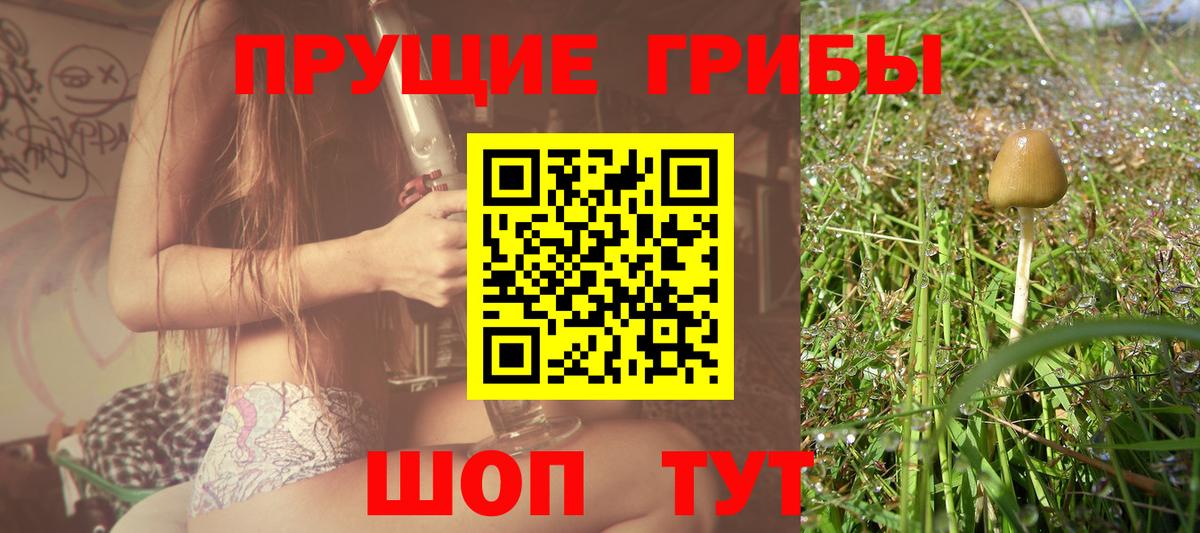 Псилоцибиновые грибы Cubensis Аксай