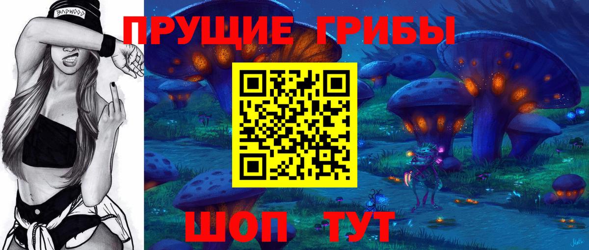 Псилоцибиновые грибы мицелий  купить  цена  Аксай  Вход с VPN  Галлюциногенные грибы Psilocybe 